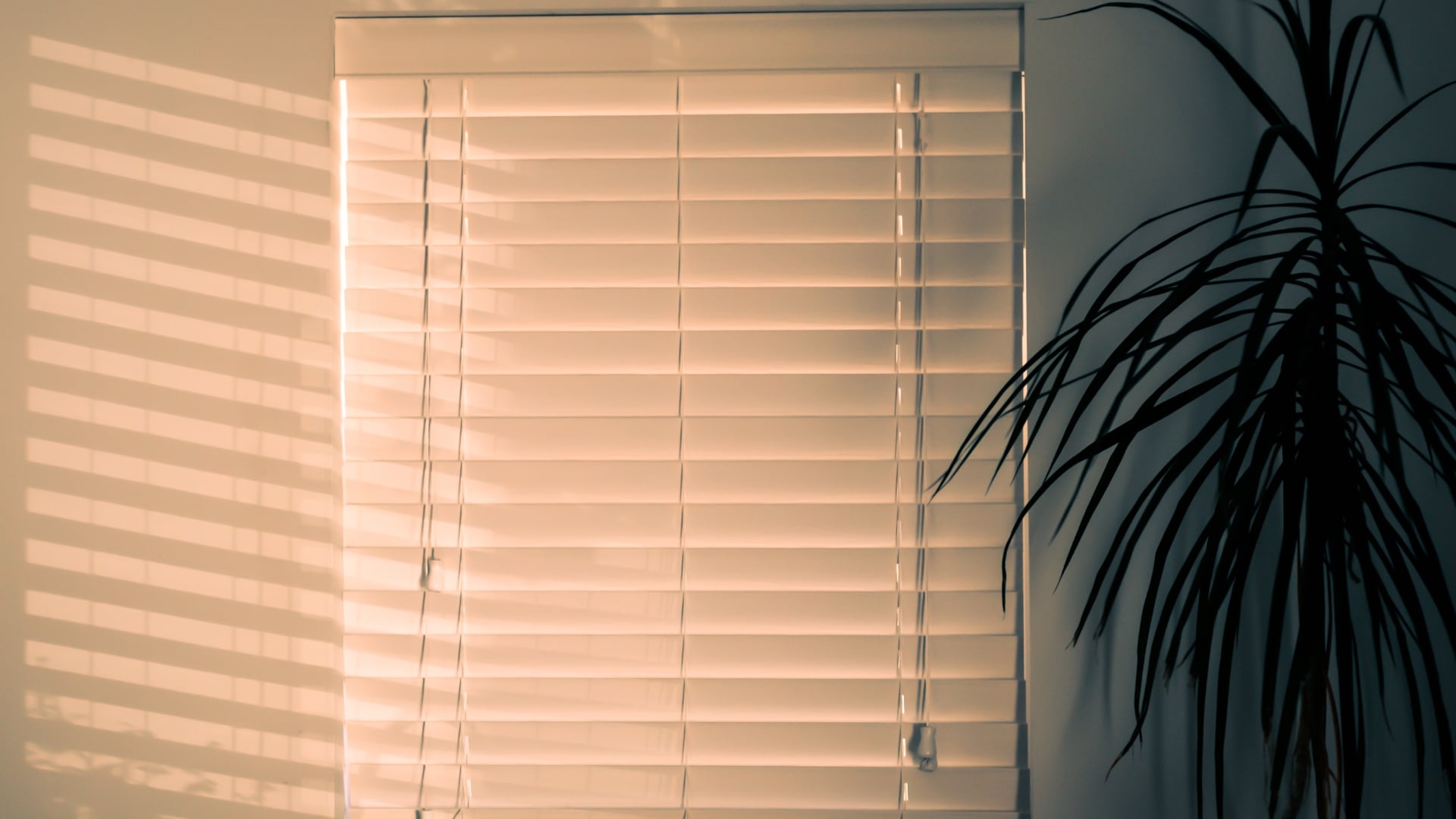 Suitable for Modern and Minimalist Homes